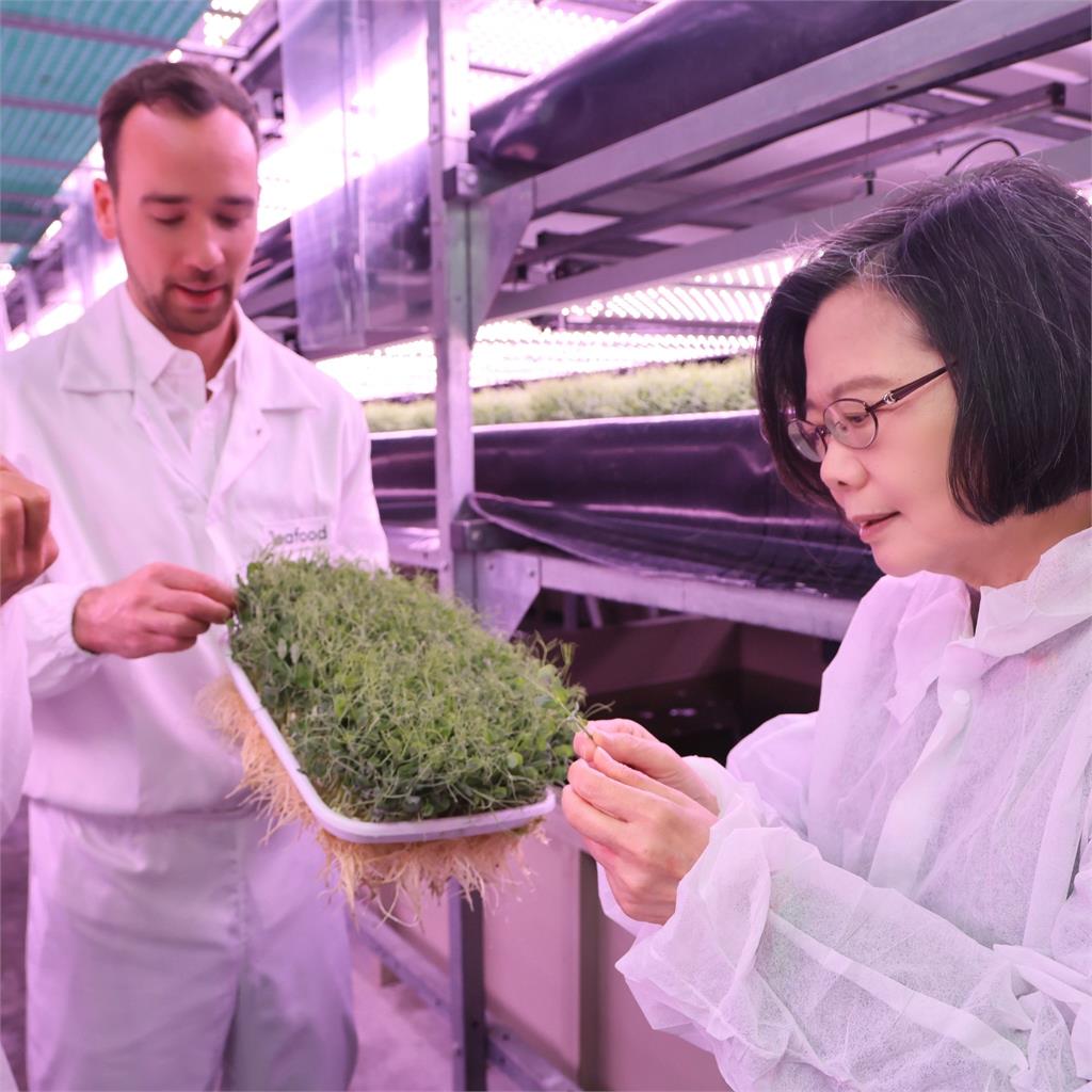蔡英文訪立陶宛!單手插口袋「一口乾」綠拿鐵照曝光 6萬人讚:有夠帥氣