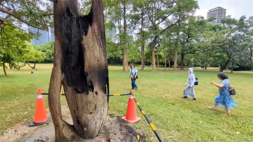高雄美術館「木造裝置藝術」起火　民眾質疑人為縱火