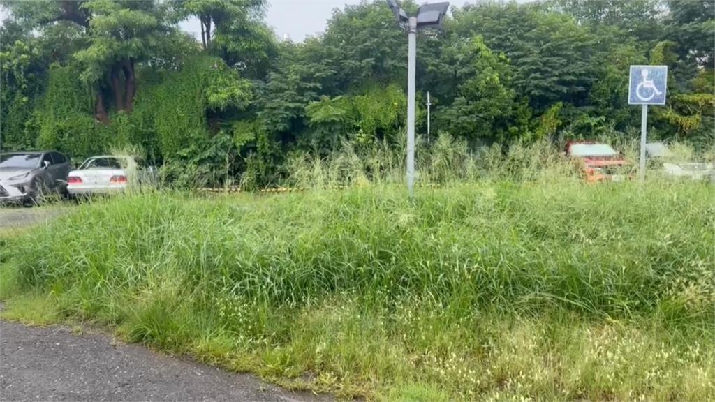 公務員扯"鬼月禁忌不除草" 彰化市長氣炸親自監督除草
