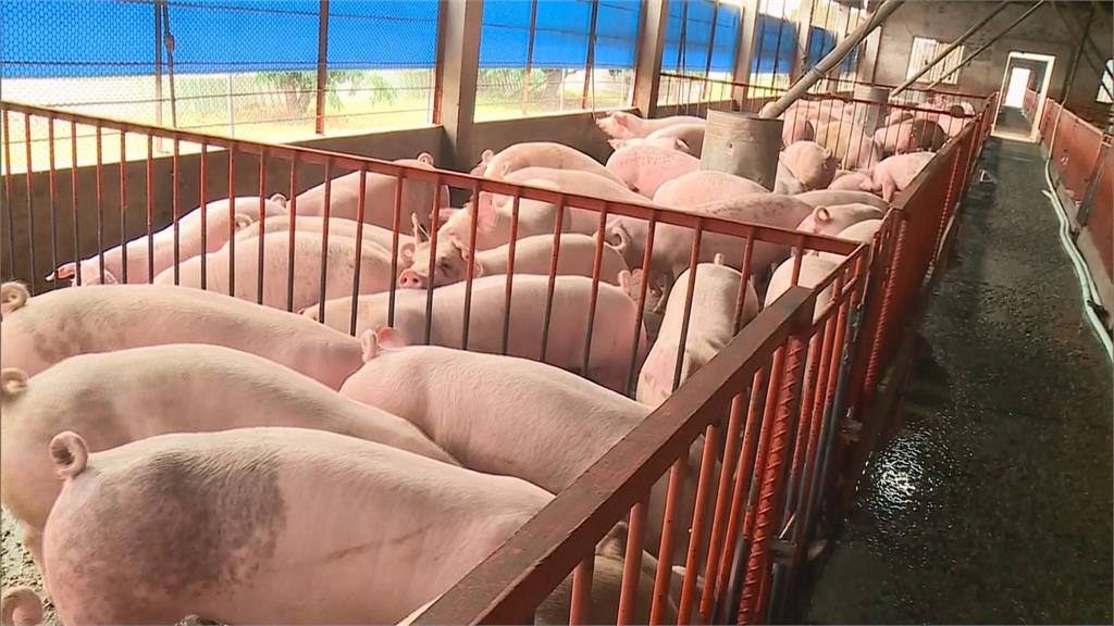 台灣重返非疫區 未來百日關鍵期