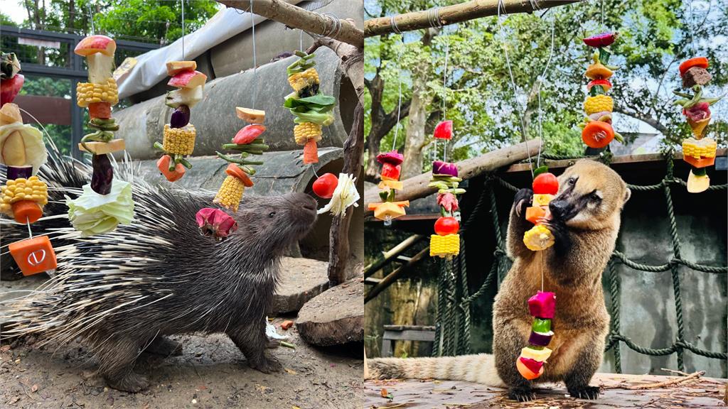 中秋烤肉「牠們」也參一咖！壽山動物園辦「野營派對」大快朵頤萌翻天