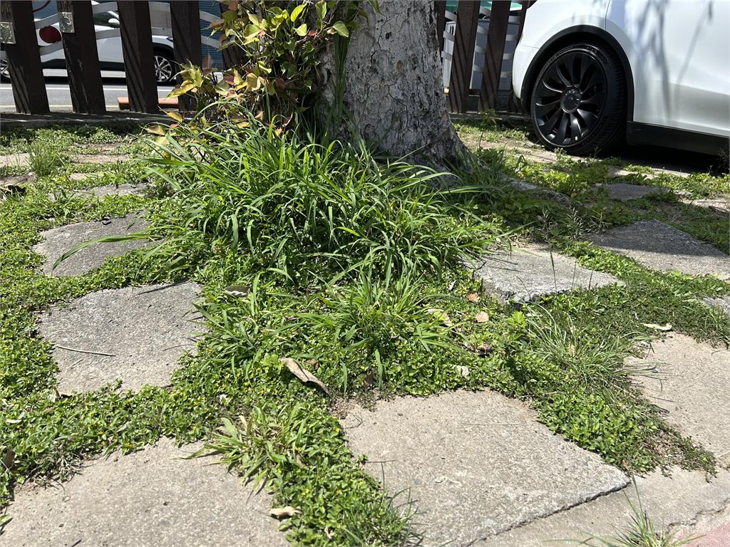 快新聞／中央挺苗栗！后庄國小地面不平　沈發惠成功爭取350萬改善