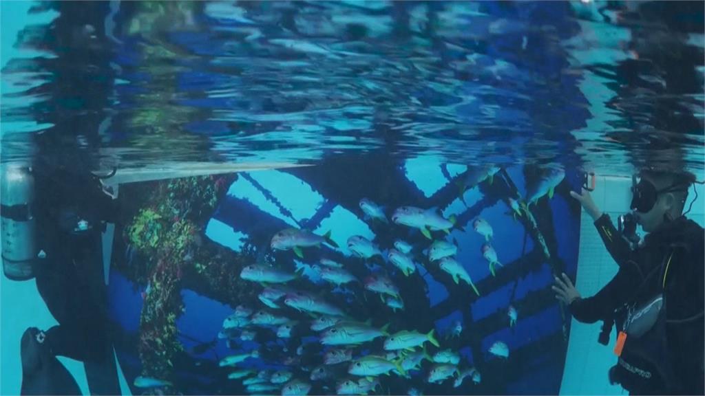 到泳池體驗台灣海底偽旅行　新潮互動式觀展