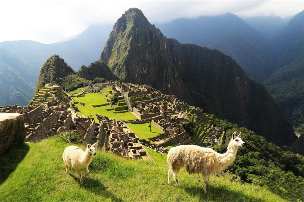 快新聞／旅客注意！祕魯「馬丘比丘」火車對撞　至少1死40傷