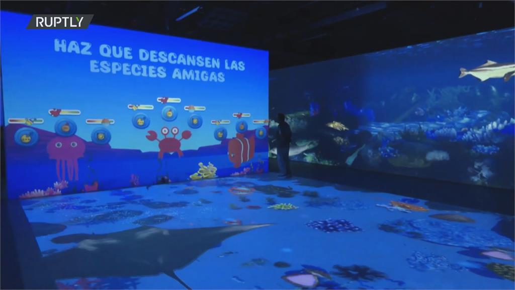 一同倘佯3D海底世界　墨西哥虛擬水族館盛大開幕