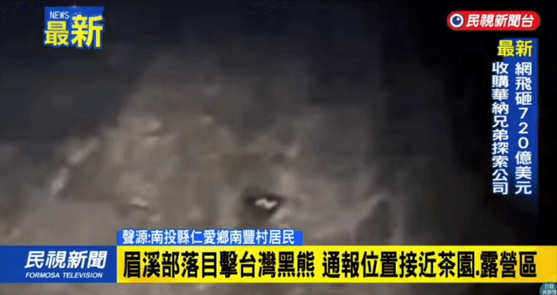南投露營區350公尺外閃神秘身影！竟是黑熊「見人轉頭急走」畫面流出