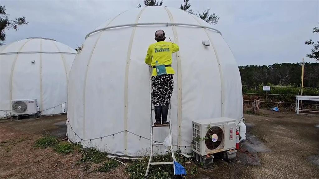 台南洋香瓜防颱！　瓜農們趕在風雨前搶收加固