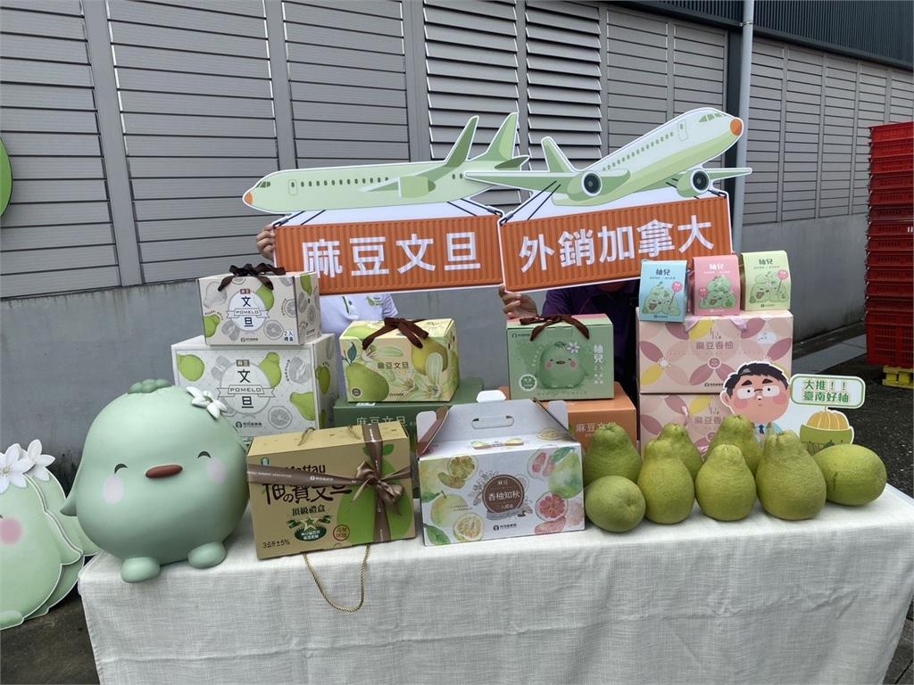 快新聞／台灣「這水果」出頭天了！竟一次打通1國家6大超市　強勢登陸美洲市場
