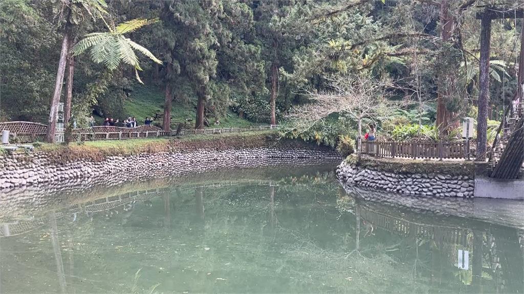 水情吃緊!溪頭大學湖快見底 專家籲:節約用水