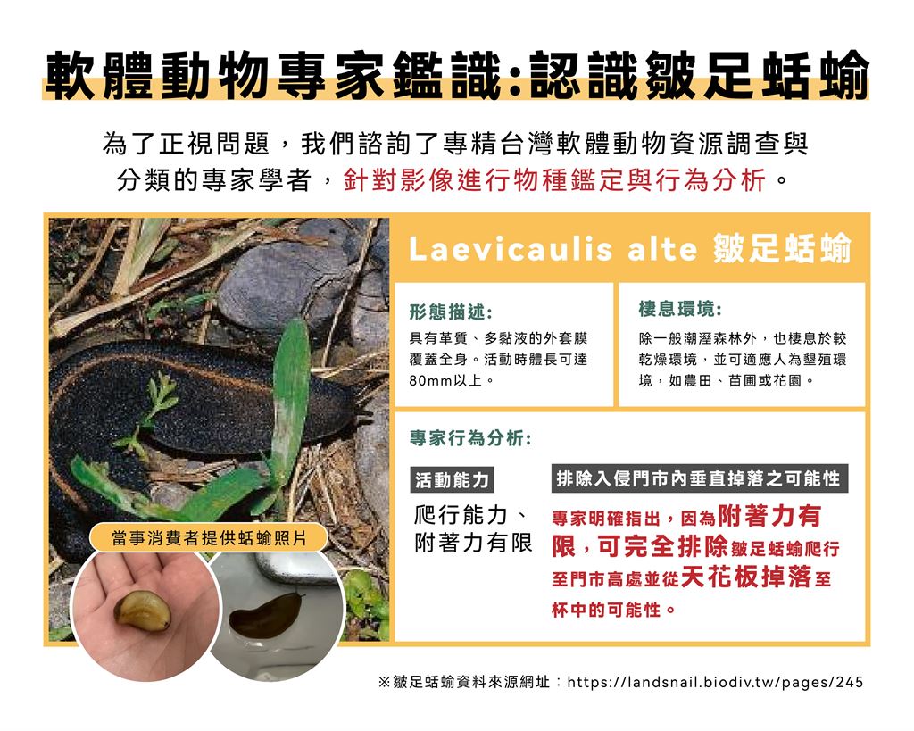 八曜「喝到蛞蝓」調查結果曝！創辦人製圖揭「時間軸」網讚：公關天花板