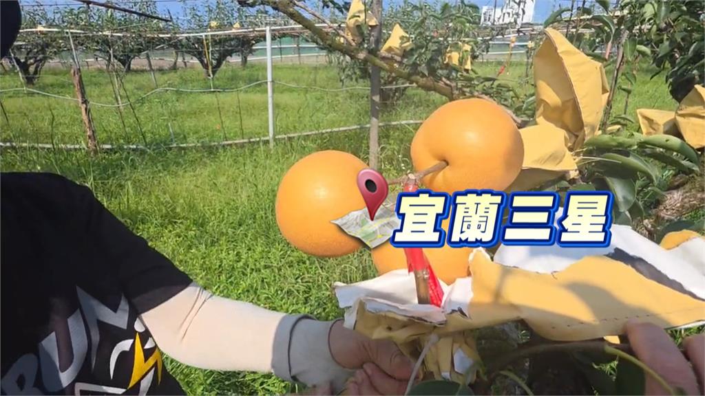 強颱「巴威」續增強長胖！　北部、宜蘭首當其衝防豪雨