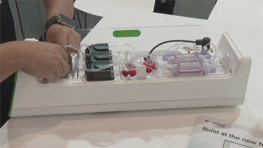 全球首台生物電腦! 結合腦細胞與晶片 主打節能運算
