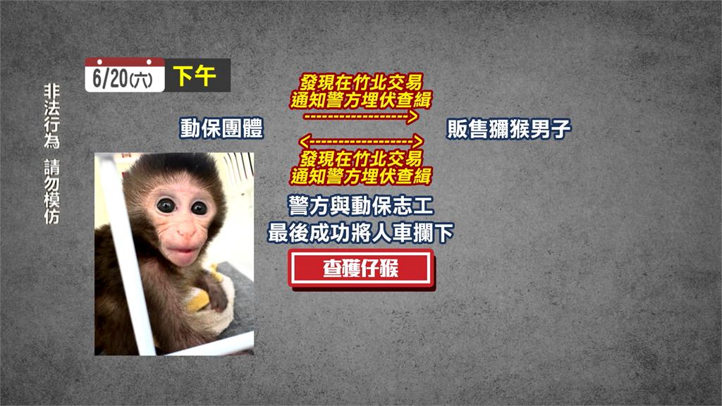 網售台灣獼猴幼崽開價一萬　警方、志工追緝成功救回