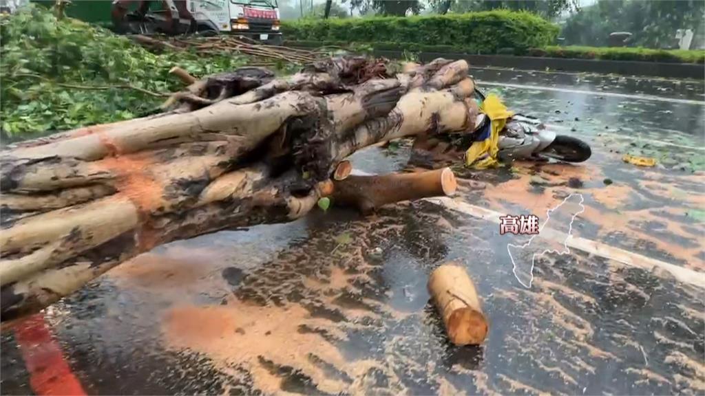 凱米刮強風吹倒路樹 高雄婦人騎車出門被砸中喪命