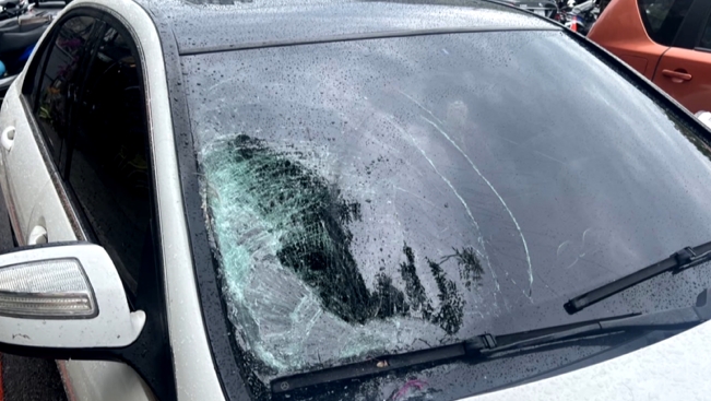 誰闖燈?買菜婦走在斑馬線 遭轎車撞飛身亡