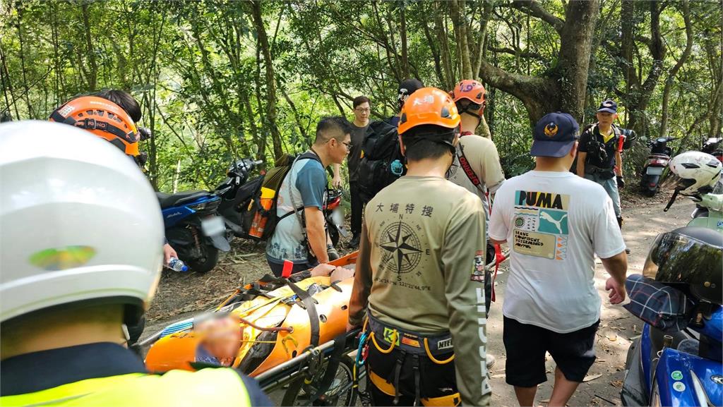 快新聞／三峽熊空雲森瀑布驚傳蜂群攻擊！數名登山客被螫待援