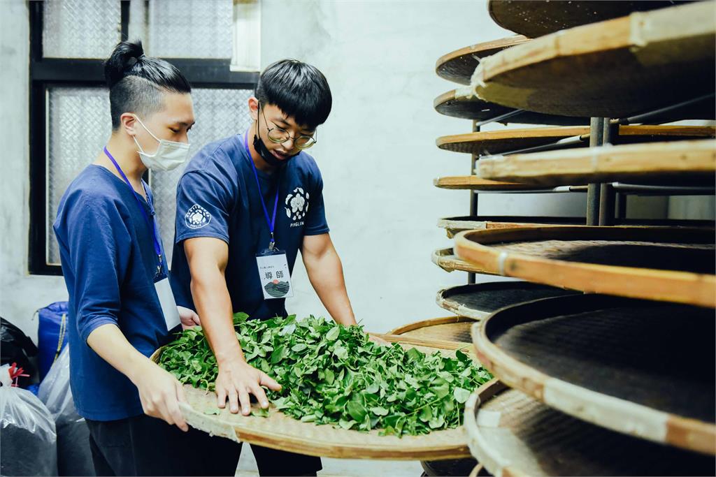以茶推動創生 新北坪林「有種茶」獲日本GOOD DESIGN AWARD肯定