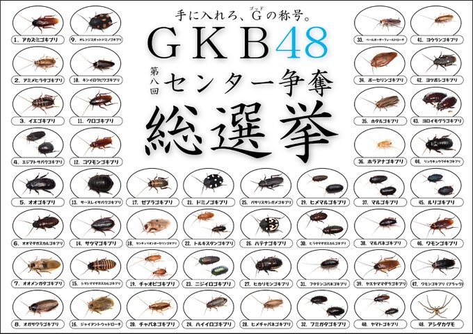 快新聞／我推的蟑螂！日本1昆蟲館舉辦「GKB48」人氣投票　票選「小強」人氣王