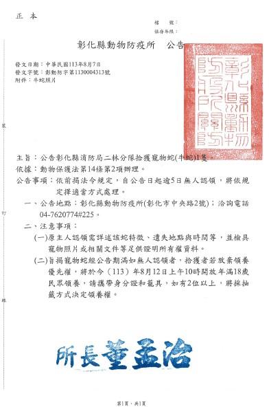 罕見！市價上萬「北美牛蛇」遭捕獲　下週主人沒領回...開放抽籤認養