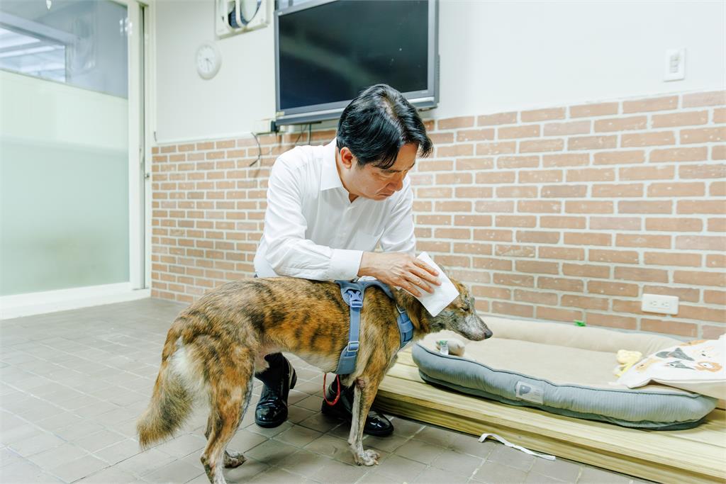 快新聞／國際流浪動物日！已幫斑斑辦入厝派對　賴清德坦言曾擔心「這件事」