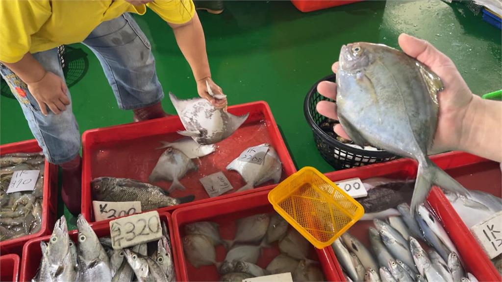 白鯧年前價格狂飆 一公斤拍賣價格超過2千多