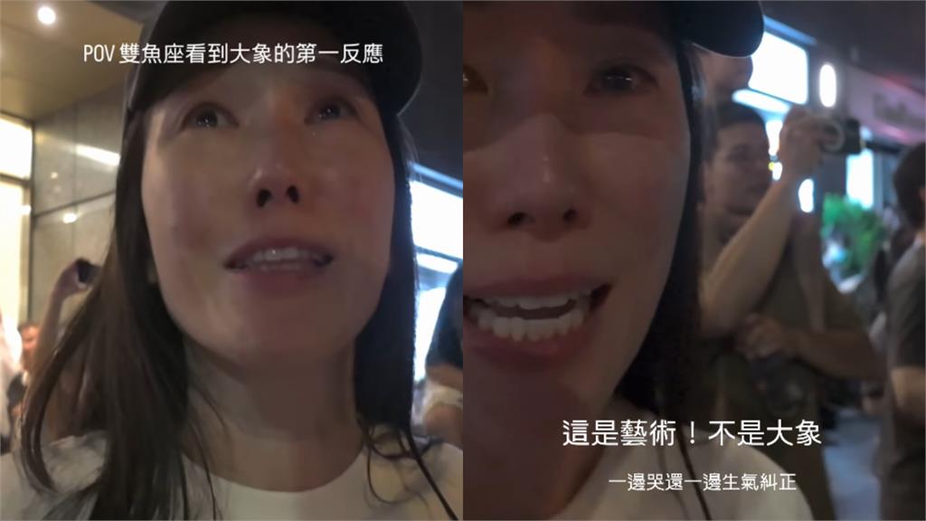 士林驚見「5米金屬巨象」！KIMIKO直擊「1幕」爆哭：這是藝術…震撼畫面全被拍