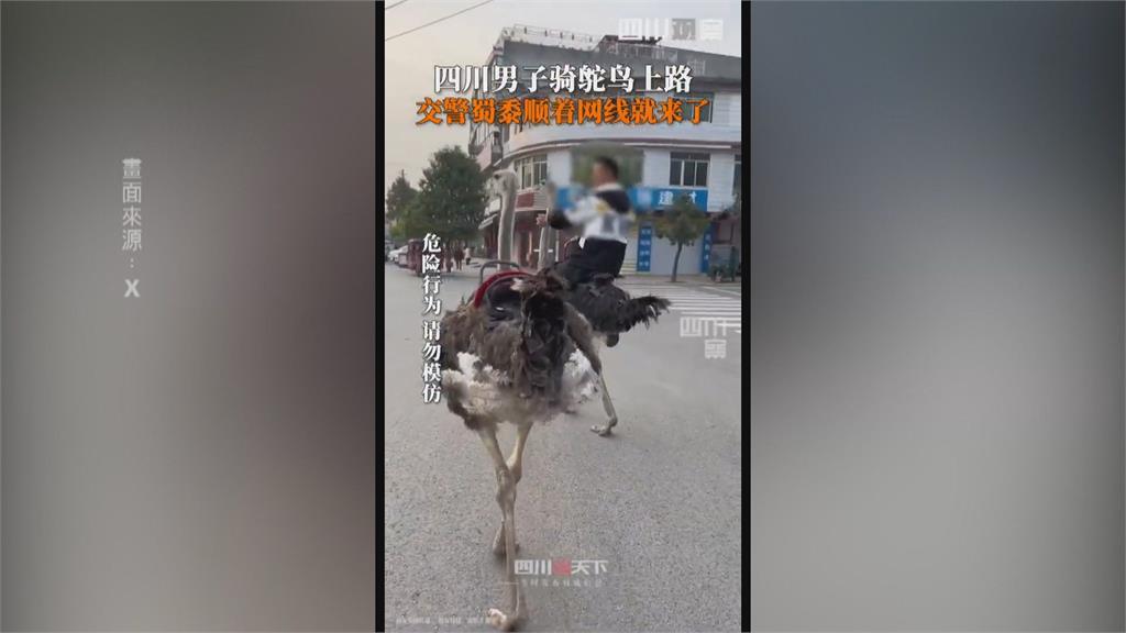 中國出現「騎鴕鳥」奇特景象　聲稱比電動車更快、更環保？