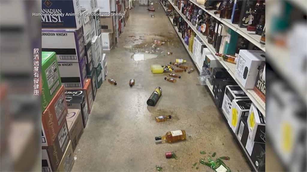 美國維州酒行被「牠」洗劫！　凶手醉倒廁所畫面曝光