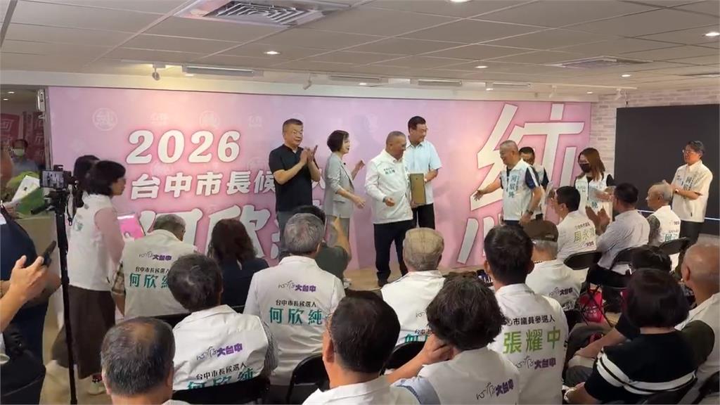 何欣純民調強逼江啟臣　蘇嘉全出任競團召集人