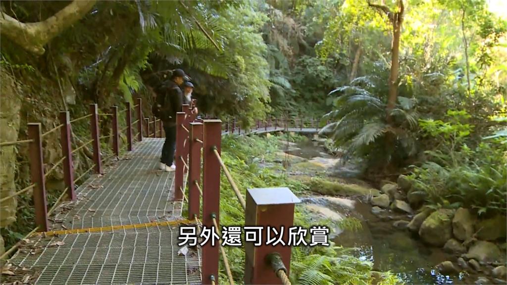 水濂洞美景宜人　雲林草嶺旅遊重獲新生