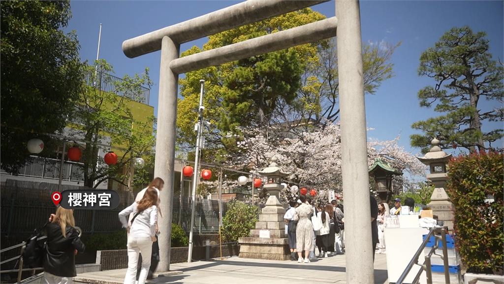 賞櫻季觀光公害問題再現　業者改推日本二線城市