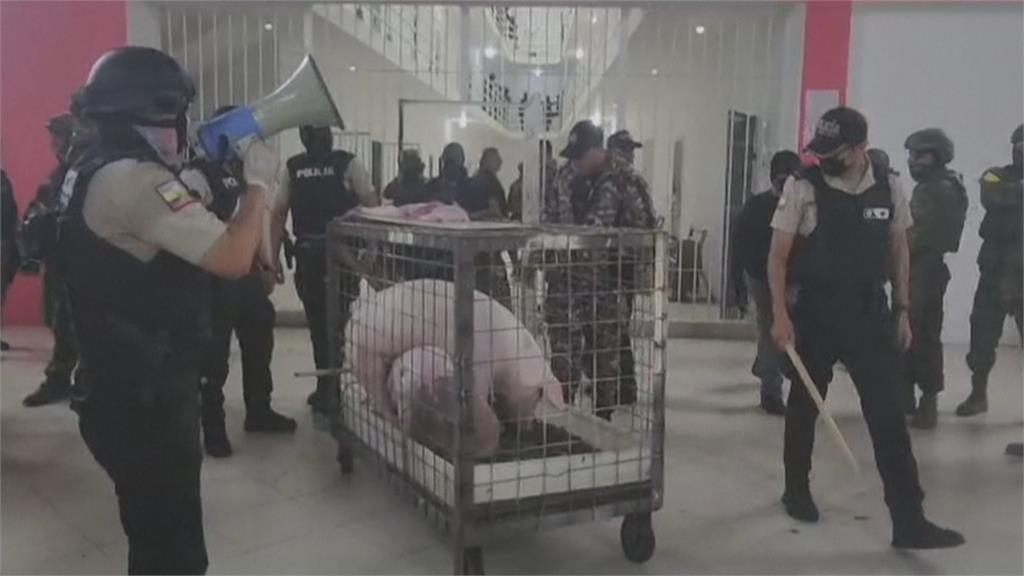 厄瓜多近年監獄暴動頻傳　警突襲檢查意外抓到2隻豬