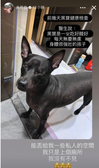 《好運來》米可白突喊:給我私人空間!爆上廁所被蹲守「實況視角」流出