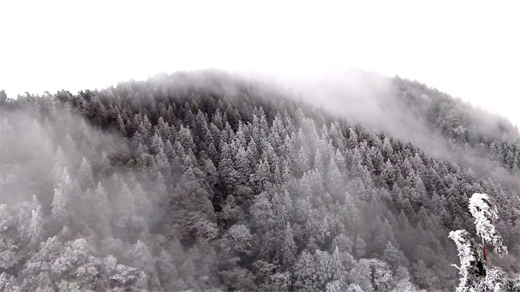 寒流發威低溫持續影響! 宜蘭太平山現"霧淞美景"