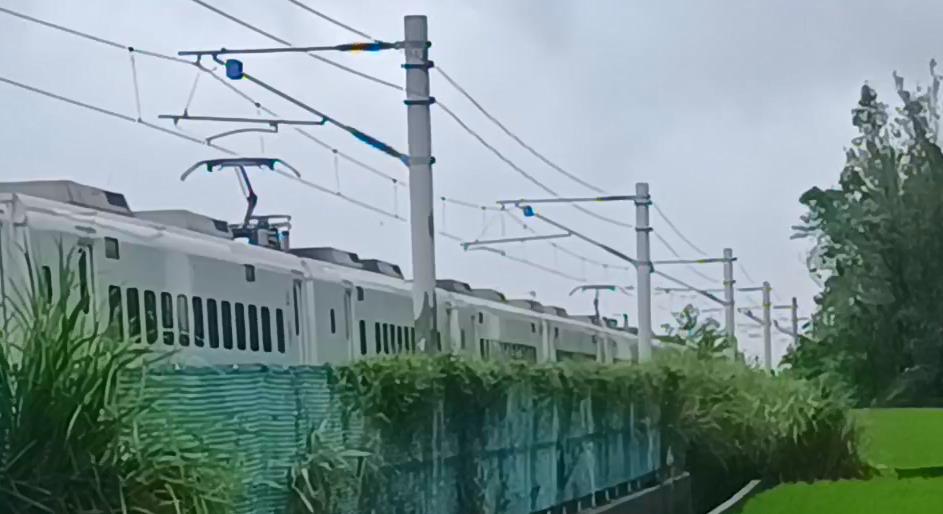 快新聞／台鐵自強號集電弓「卡樹枝」　列車困關山池上間畫面曝光
