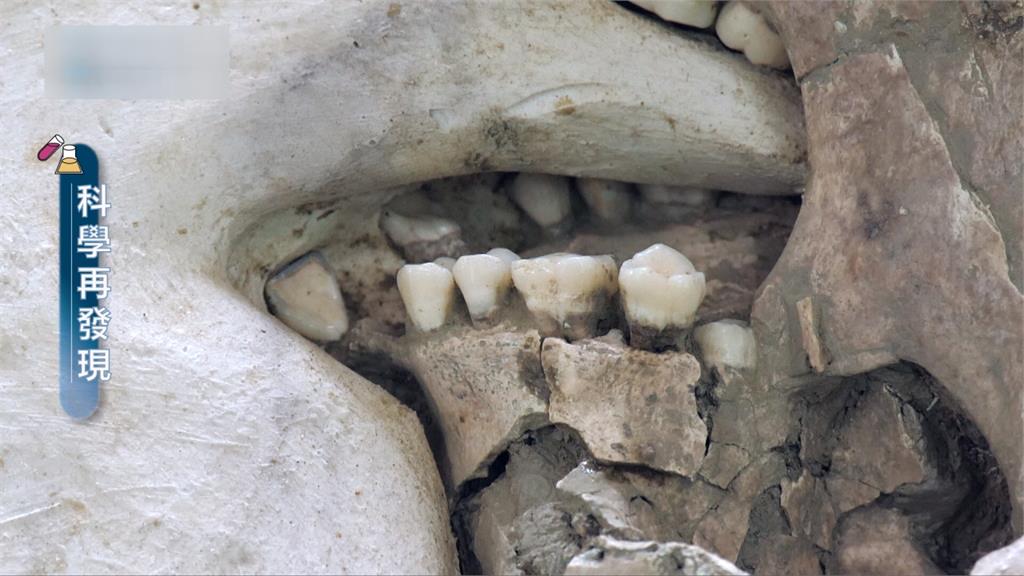 南科「人骨典藏庫」　3D掃描重現古代墓葬