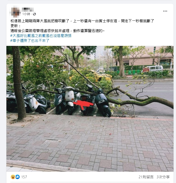 台北街頭颳「怪異強風」!路樹壓機車、鐵片遭吹斷 民眾:比颱風誇張