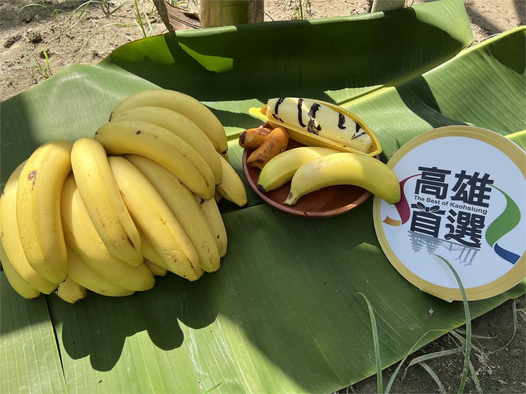 高雄香蕉價格回穩　高市農業局籲民眾多吃在地好蕉挺農友