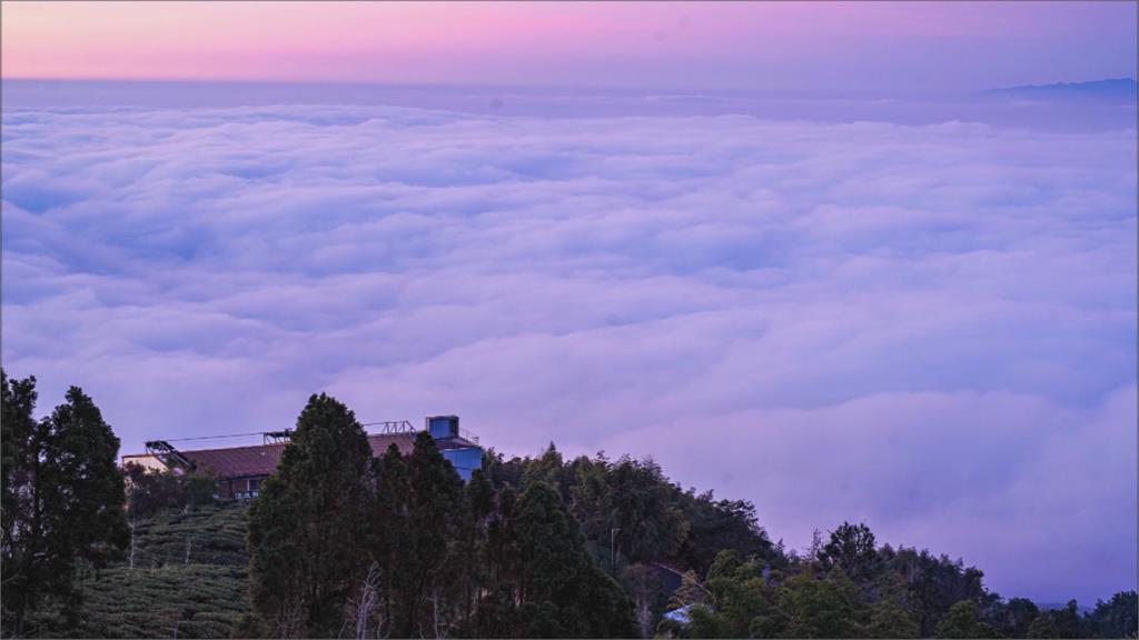 武陵農場藤花園冰晶宮再現　鹿谷大崙山夢幻雲海超壯觀