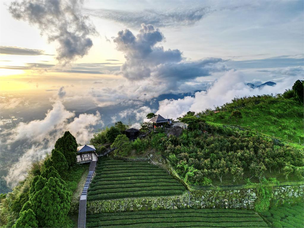 嘉義步道美景太超過　短影音強打流量破百萬