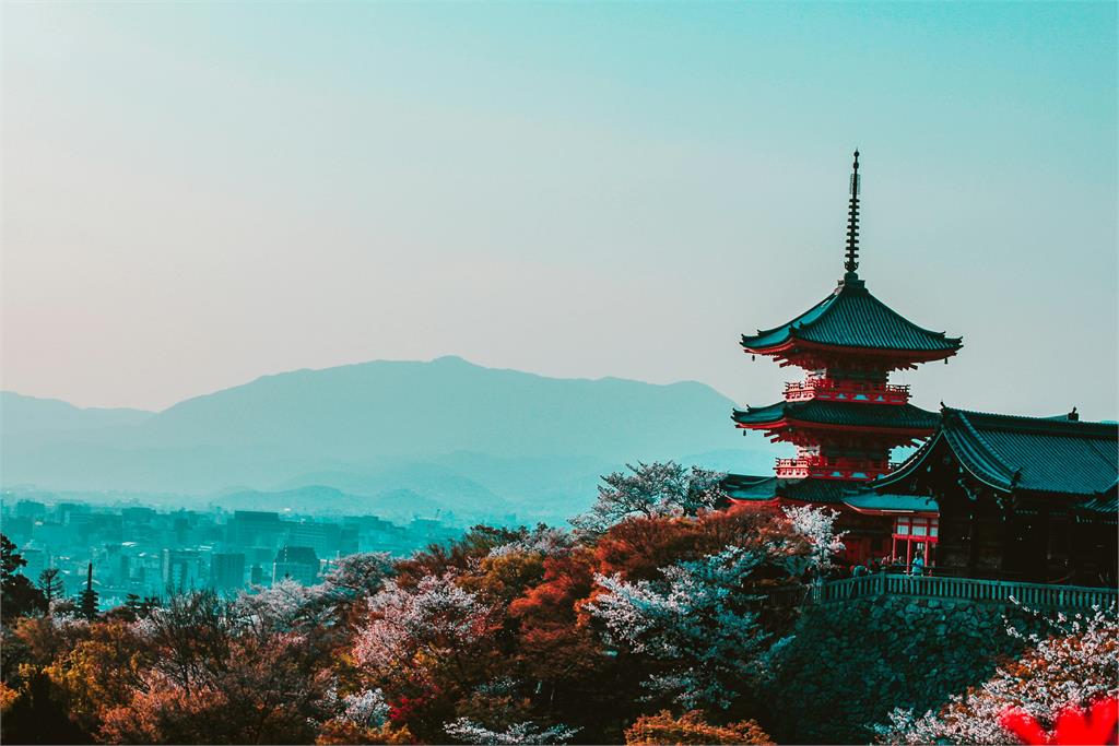 玩日本一趟破萬「比國旅便宜」？全場點頭曝「1關鍵」完勝台灣：真的沒得比