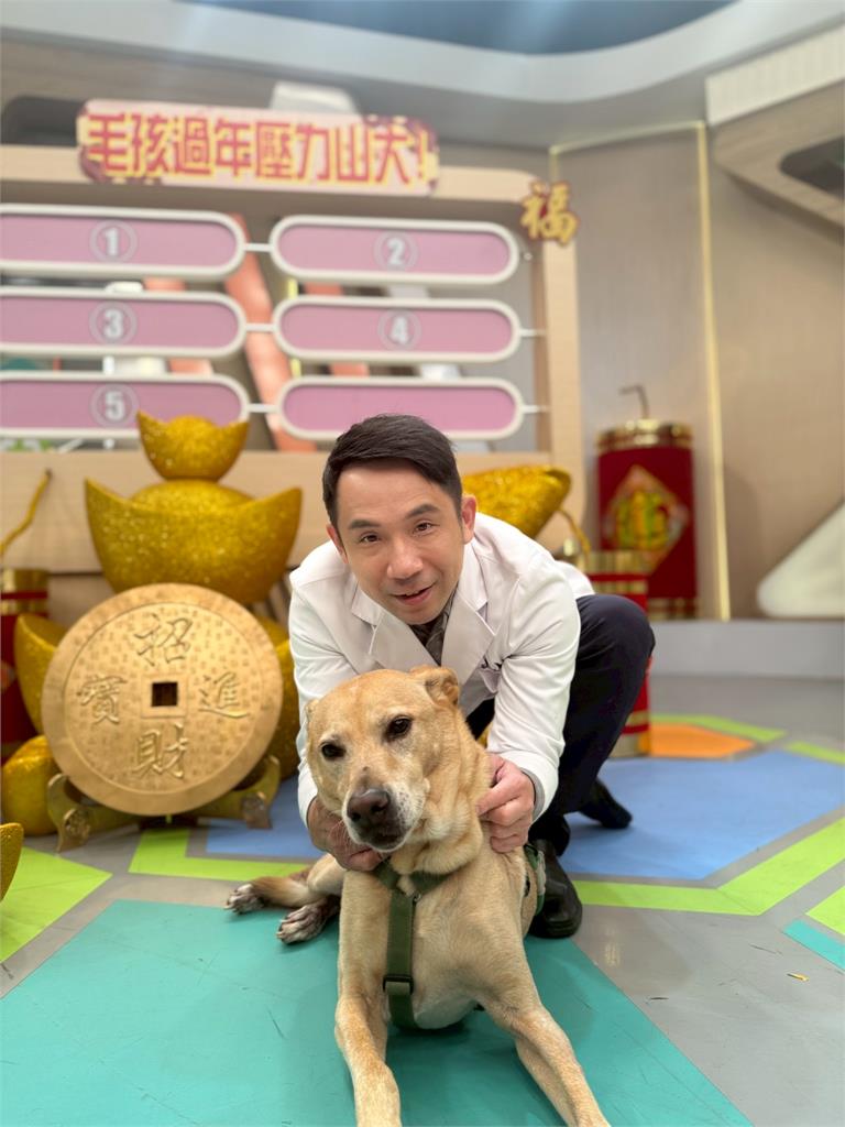 陳志強愛犬一到過年放煙火！嚇到失控「挫屎」