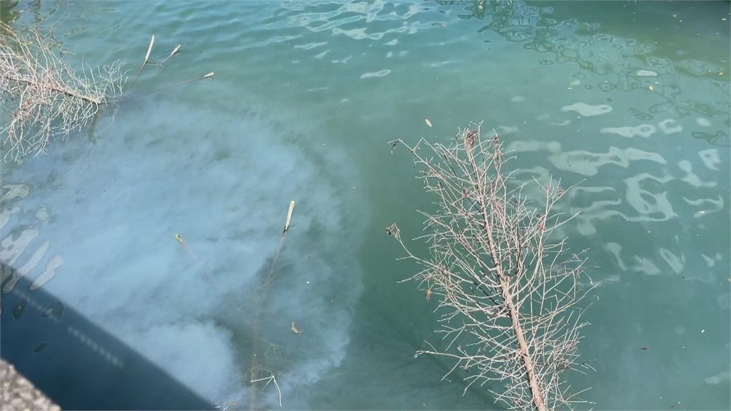 日月潭又被污染! 黑水覆蓋美麗湖面