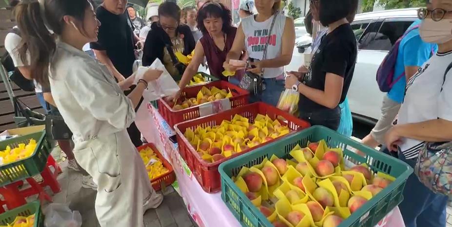 果肉細緻香甜！梨山"水蜜桃市集" 移師市區粉嫩登場