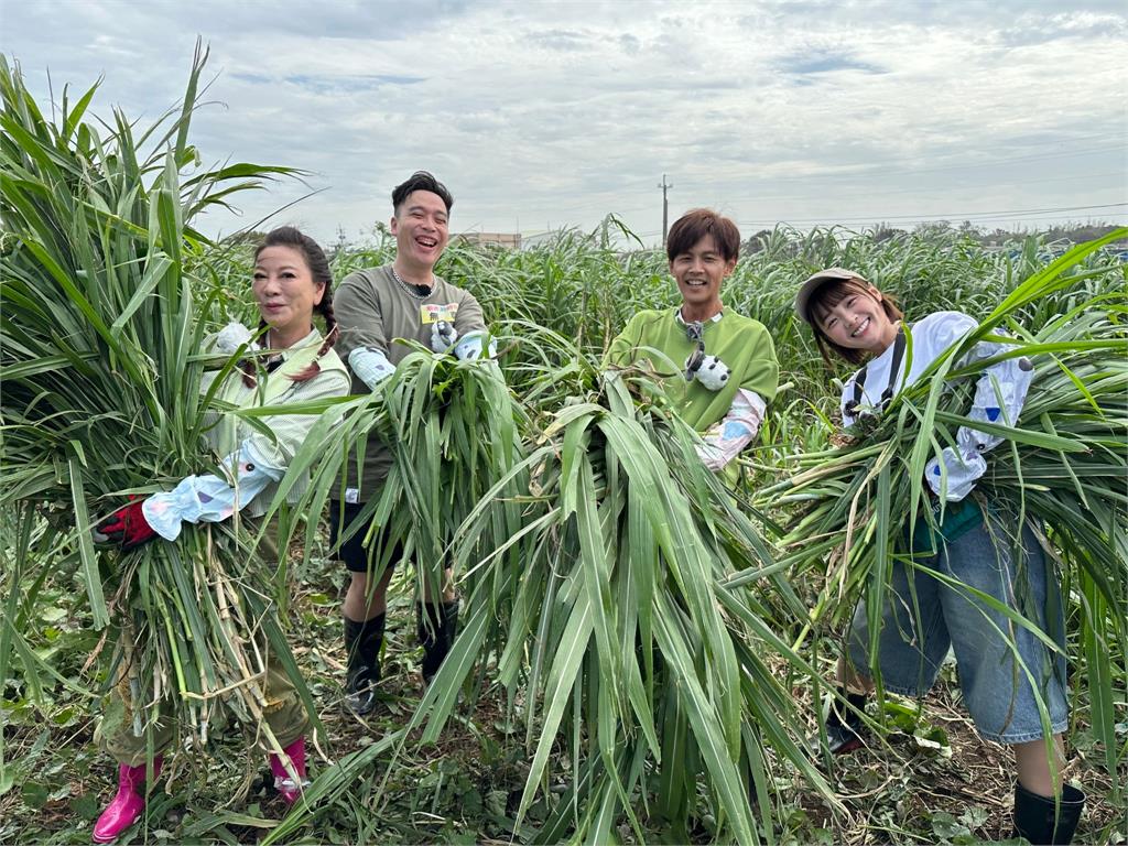 《綜藝新時代》阿翔惡作劇！逼楊繡惠、無尊吃羊糞