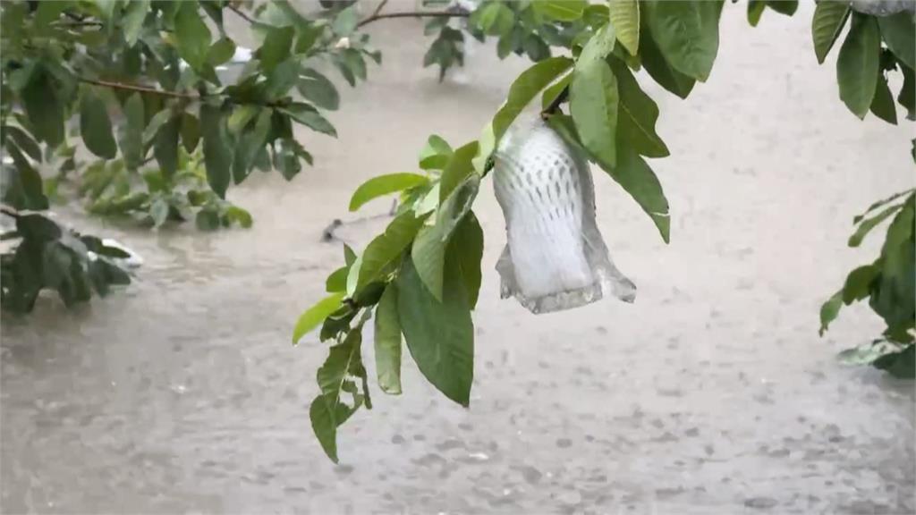 豪雨狂炸！屏東九如全台降雨最多　大排溢提淹民宅