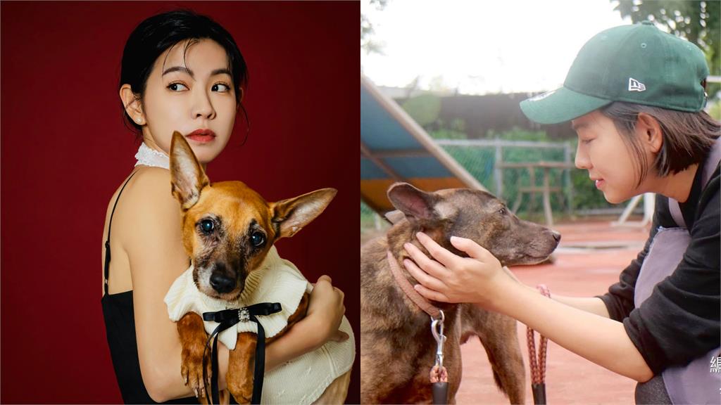 米可白怒開戰苗栗縣府!發622字「點名鍾東錦」隔空喊話:等你當初的保證