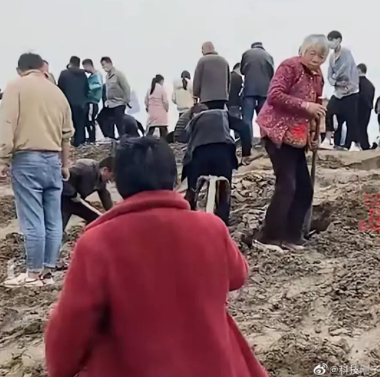 河灘挖出「光緒元寶」現賺2.8萬!民眾衝現場挖寶 鋤頭、金屬探測器全出動