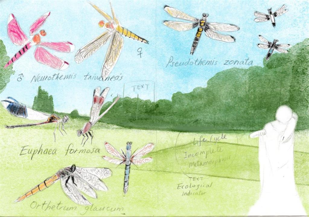 高爾夫球場竟是永續解方！國華啟動綠色高球元年 攜中興大學柳婉郁教授揭淺山綠色奇蹟