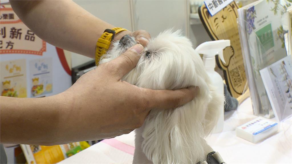 台北寵物展開幕! 新奇商品顧毛孩健康也紓壓